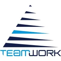 TEAMWORK MANAGEMENT FRANCE logo