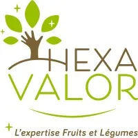 SAS HEXAVALOR logo