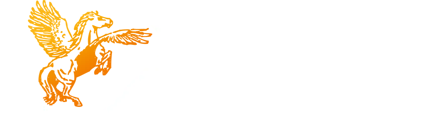 AMP COURTAGE (AMP COURTAGE) logo