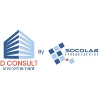 D CONSULT logo
