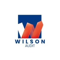 WILSON AUDIT logo