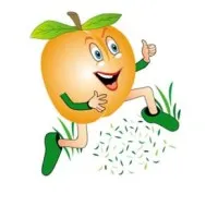 DAMA (ABRICOT AIDE DOMICILE VOUS FACILITER VIE) logo