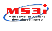 MS3I logo