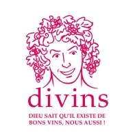 DIVINS logo