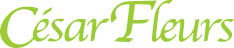 CESAR FLEURS (CESAR) logo