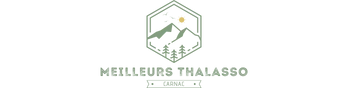 DJEMILA VOYAGES logo