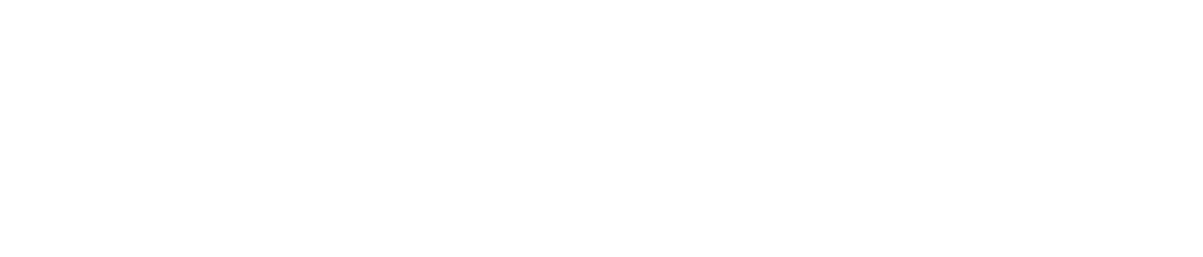 SARL D EXPLOIT DOMAINE SAN SEBASTIANO (DOMAINE DE SAN SEBASTIANO) logo