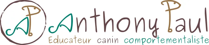 SCI PAUL ANTHONY logo