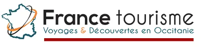 WIECZORKOWSKI VINCENT logo