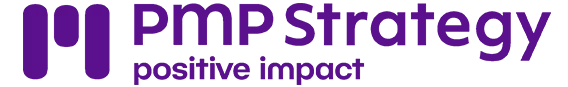PMP HOLDING logo