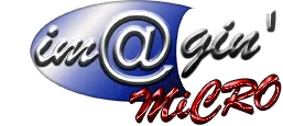 Voici le logo de la marque IMA@GIN MICRO qui représente son identité graphique.