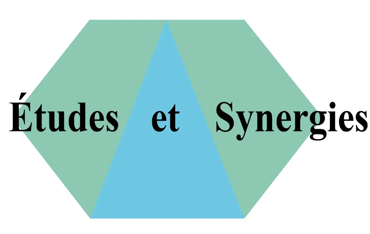ETUDES ET SYNERGIES logo