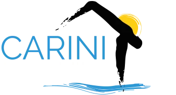 CARINI IMMOBILIER logo