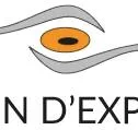 VISION D'EXPERTS logo