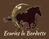 PITON FREDERIC logo