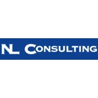 LABANI NOURREDINE (NL CONSULTING) logo