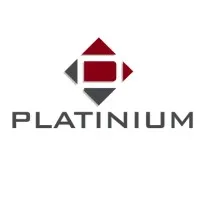 PLATINIUM GESTION logo