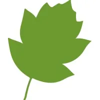 FORET PATRIMOINE logo