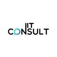 N.I.T CONSULT logo