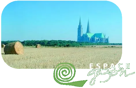 ESPACE GAZON logo