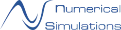 NUMERICAL SIMULATIONS (RDNS) logo
