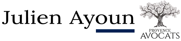 AYOUN JULIEN logo