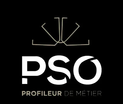 PROFILAGE DU SUD OUEST logo