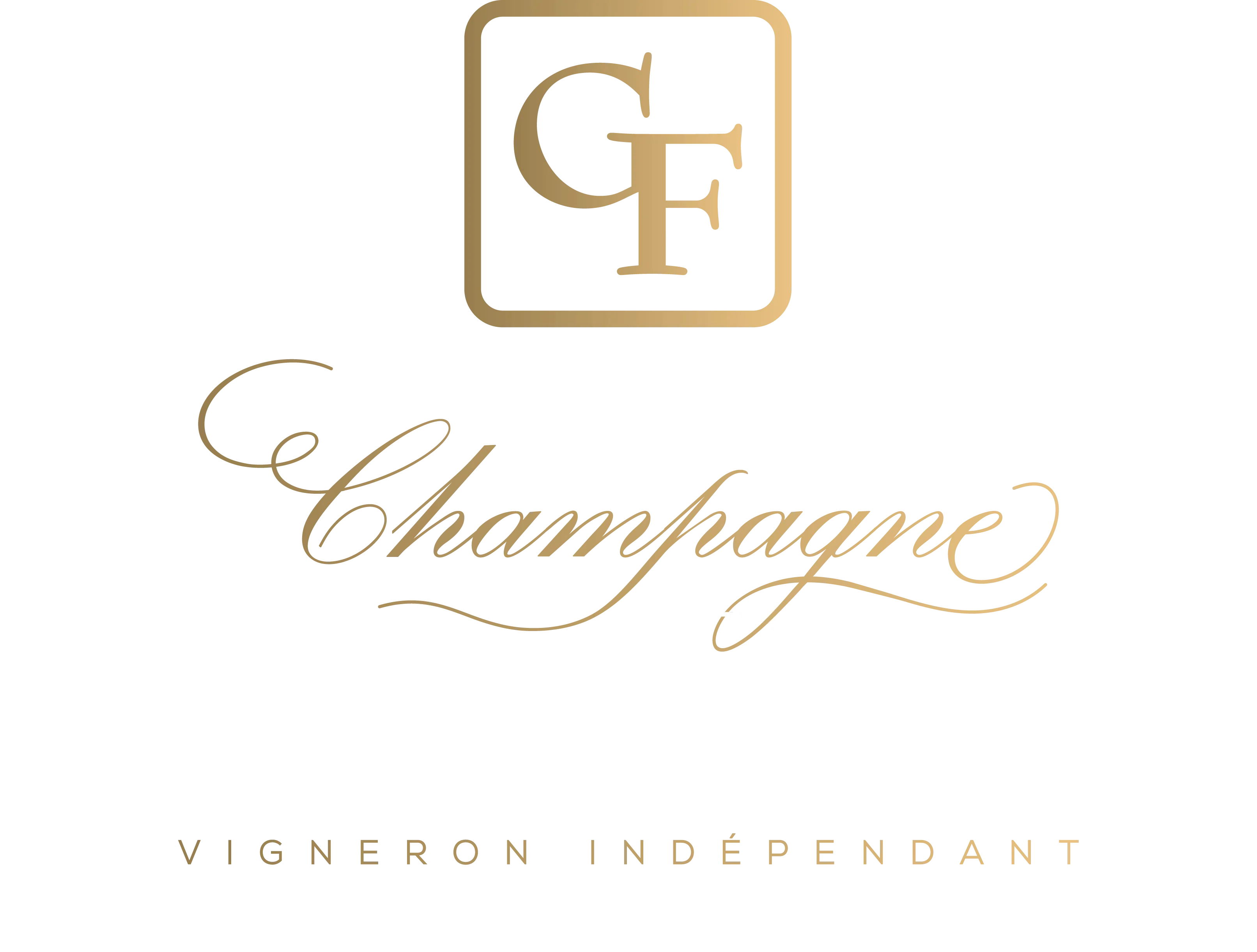 FINANCIERE GAIDOZ logo