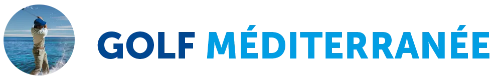 PRELIM logo