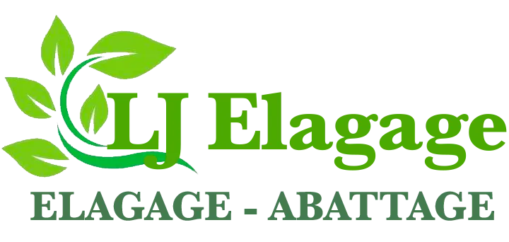 LEGRAIN JEAN SEBASTIEN logo