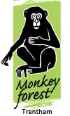 Voici le logo de la marque MONKEY FOREST qui représente son identité graphique.