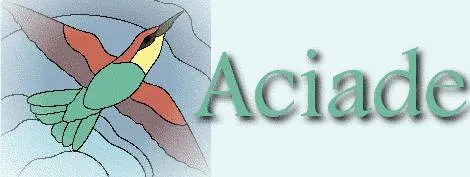 LAHM NICOLE logo