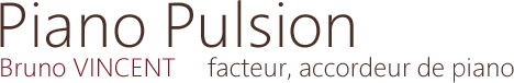 PIANO PULSION (PIANO PULSION) logo