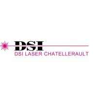 DSI LASER INTERNATIONAL FRANCE logo