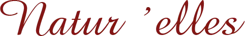 RIGAUX logo