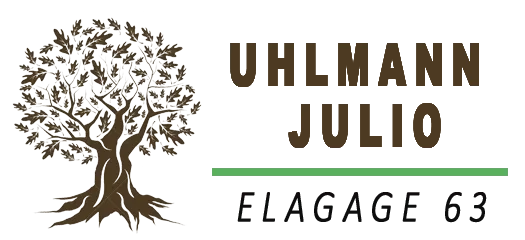 UHLMANN JULIO logo