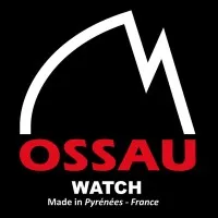 ACCEL MOTEUR logo