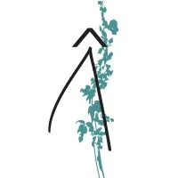 ANNE CLAIRE PARIS ARCHITECTE DPLG logo