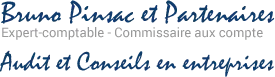 BRUNO PINSAC SARL logo