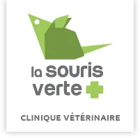 CANE CATI logo