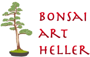 BONSAI STUDIO (BONSAI STUDIO) logo