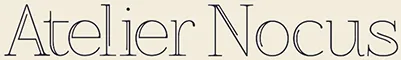 NOCUS THIERRY logo
