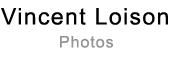 LOISON VINCENT logo