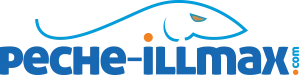 ILLMAX CONCEPT logo
