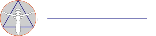THIBAULT DE  BEAUREGARD PIERRE logo