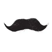 LA MOUSTACHE logo