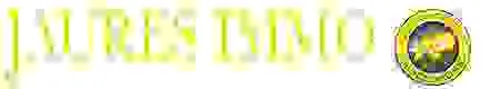 IMMOBILIERE SAINT JAMES logo