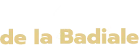 MARTIN YANNICK logo