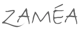 ZAMEA logo