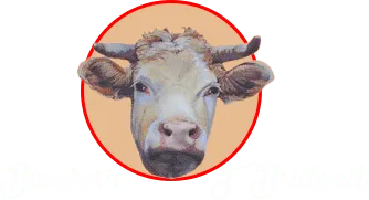 SARL BOUCHERIE FRANCIS BRILLAULT logo